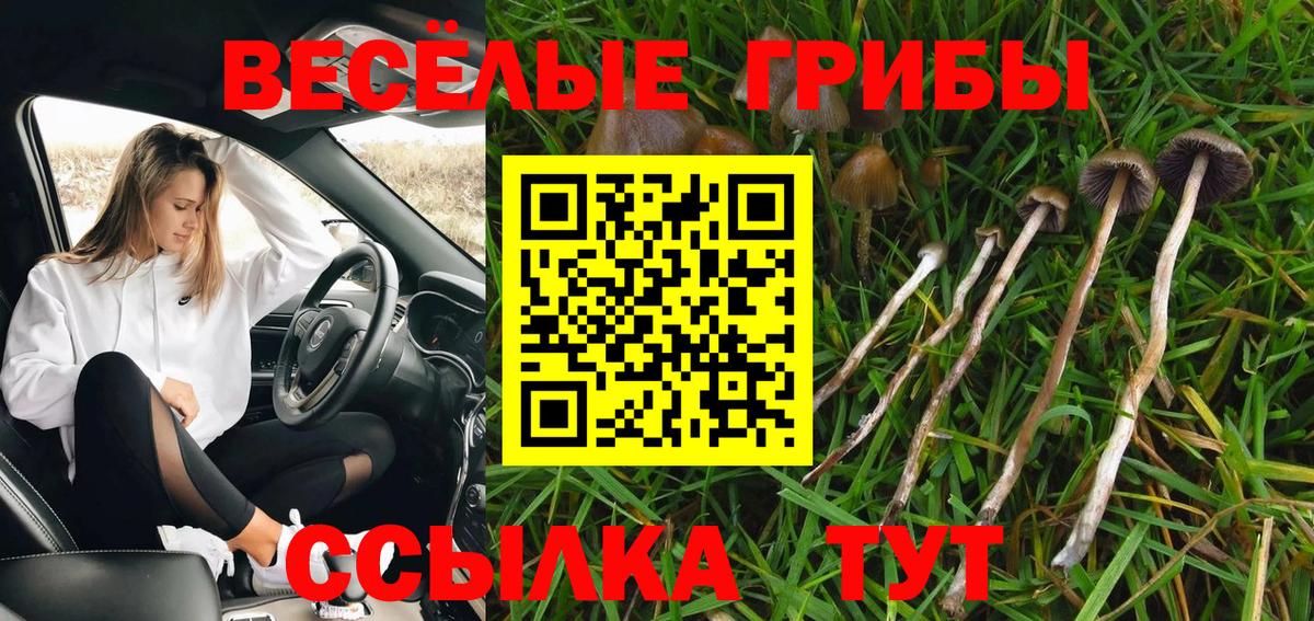 Долгопрудный  купить закладку  Вход с VPN  Псилоцибиновые грибы Psilocybe  Галлюциногенные грибы прущие грибы 